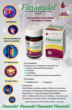 Flexamidol Extracto seco de Harpagofito 480 mg.